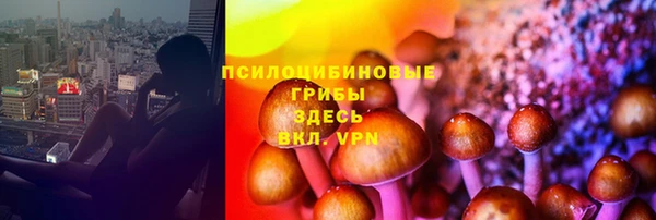 mix Арсеньев