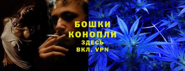 крисы Армянск
